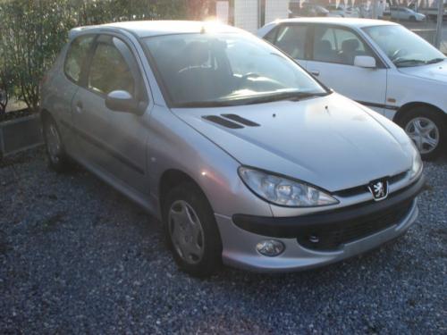 Vand Bara spate Peugeot 206 2000