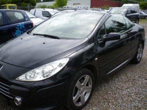 Vindem Bujii incandescente Peugeot 307 2007