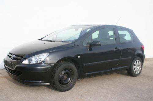 Vand Catalizator Peugeot 307 2003