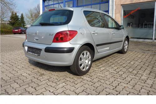 Elemente caroserie Peugeot 307 2003