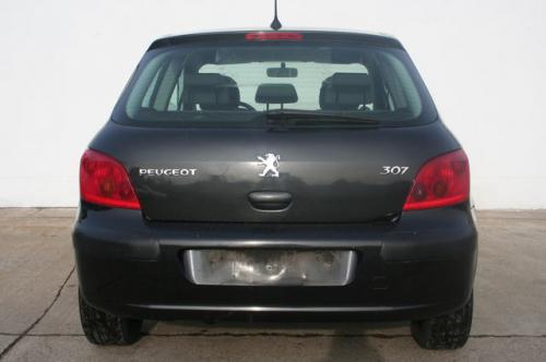 Elemente caroserie Peugeot 307 2003