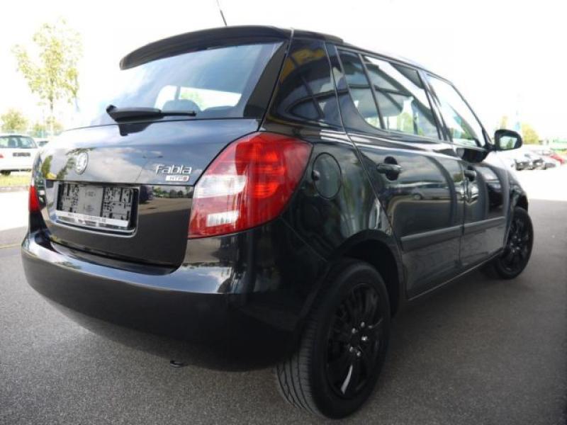 Vand Oglinzi Skoda Fabia 2007