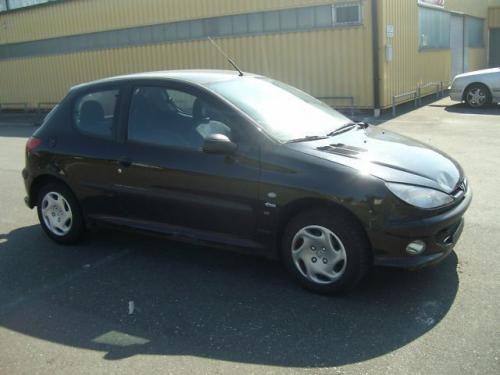 Proiectoare ceata Peugeot 206 2000