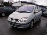 Vindem Accesorii Renault Scenic 2001