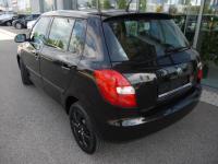 Vand Aripa fata Skoda Fabia 2007