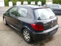 Vand Aripa spate Peugeot 307 2003