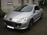 Vand Elemente caroserie Peugeot 307 2007