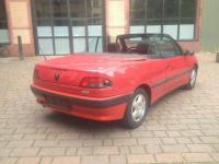 Vand Pivoti Peugeot 306 1999