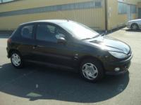 Proiectoare ceata Peugeot 206 2000