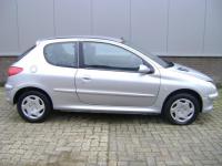 Vand Sistem comfort Peugeot 206 2001